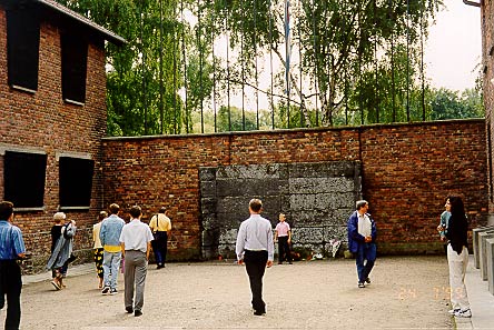 muuri.jpg (52086 bytes)